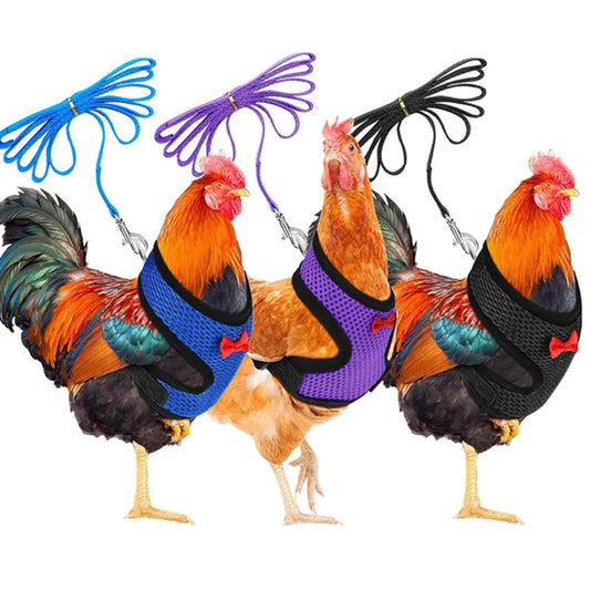 Chicken Harness with Leash Adjustable Chicken Leash for Hens Duck Puppy Breathable Comfortable Pet Harness 3 Sizes Y5GB